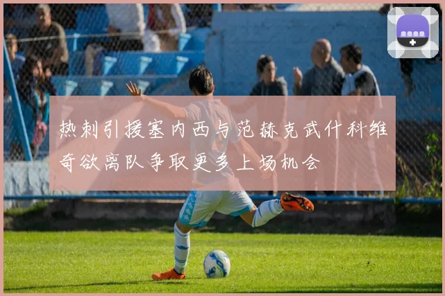 热刺引援塞内西与范赫克武什科维奇欲离队争取更多上场机会