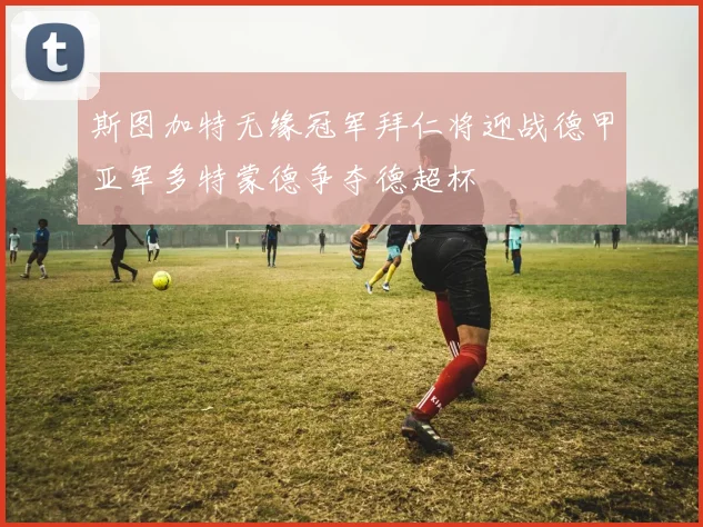 斯图加特无缘冠军拜仁将迎战德甲亚军多特蒙德争夺德超杯