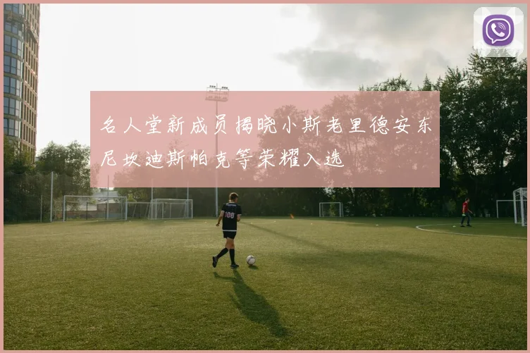 名人堂新成员揭晓小斯老里德安东尼坎迪斯帕克等荣耀入选